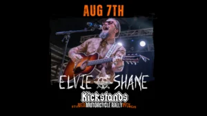 Elvie Shane